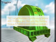 TXZ Grand moteur synchrone sans balai 400-15000kw 3kv-11kv avec grand couple de démarrage pour l'industrie minière et du ciment