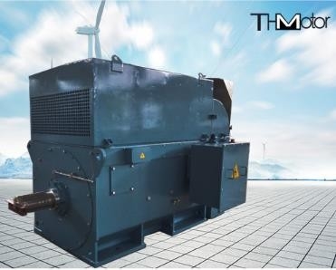 Le grand écureuil de Y800 6000kw mettent en cage la minute à haute tension IP54 des moteurs électriques 1500r/