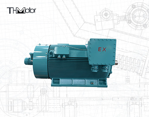 1000kw au moteur antidéflagrant du moteur électrique 1500rpm VFD de 12000kw ExdIIBT4 gigaoctet