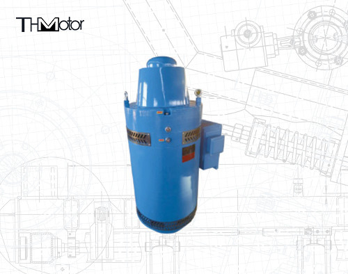 Moteurs à induction asynchrone de gamme de température Moteurs à courant alternatif à trois phases IP65