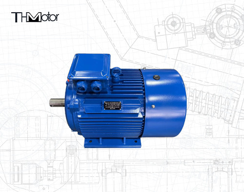 IC0141 Moteur à cage d'écureuil avec diamètre d'arbre de 75 mm pour fonctionnement continu S1