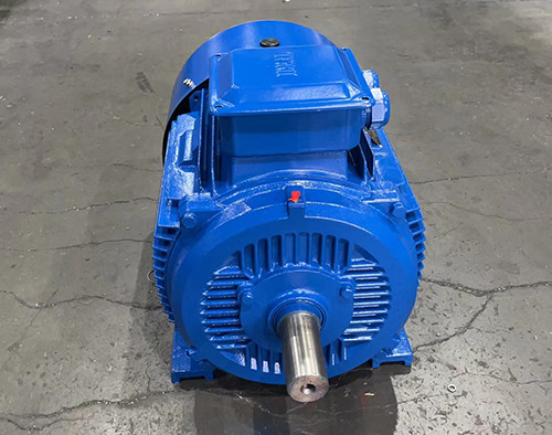 IC0141 Moteur à cage d'écureuil avec diamètre d'arbre de 75 mm pour fonctionnement continu S1