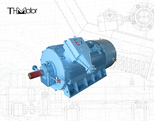 moteur électrique antidéflagrant de 3600rpm IE2 avec la pompe anti-déflagrant de 3 phases