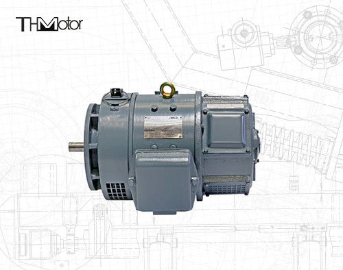 Moteurs à haute tension de C.C du moteur 115v 220v z2 de C.C de série du CEI Z2 de la CE petits petits
