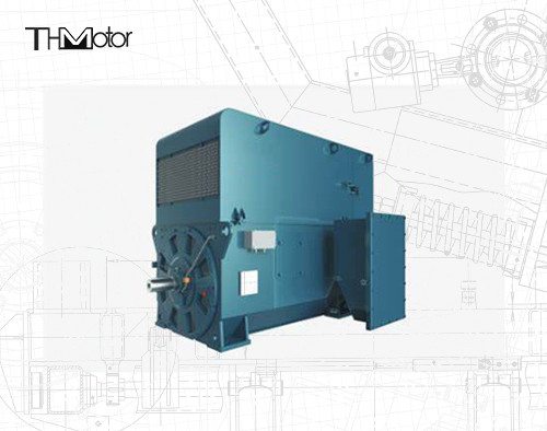 Types de rotor de type bobiné à couple élevé de la CE IC81W de rotor de moteur à induction