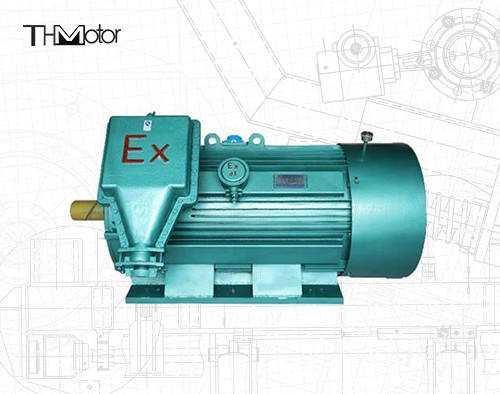 Moteur asynchrone triphasé 10000V de preuve de flamme de 6 Polonais