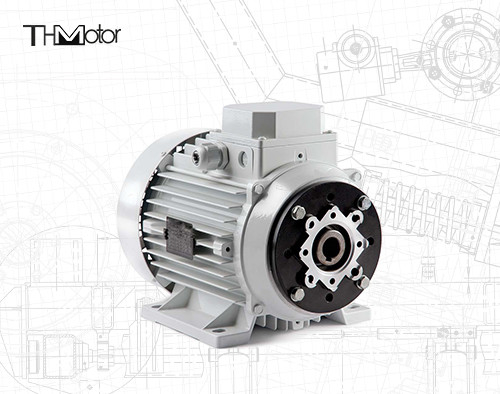 1000-12000kw 4/6 pôles Voltage moteur CC Arbre creux / arbre solide pour les applications lourdes