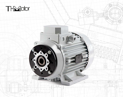 1000-12000kw 4/6 pôles Voltage moteur CC Arbre creux / arbre solide pour les applications lourdes