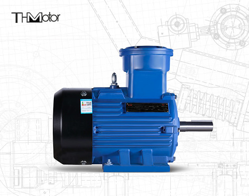 Moteur asynchrone de pompe à eau antidéflagrant 165kW GB30254