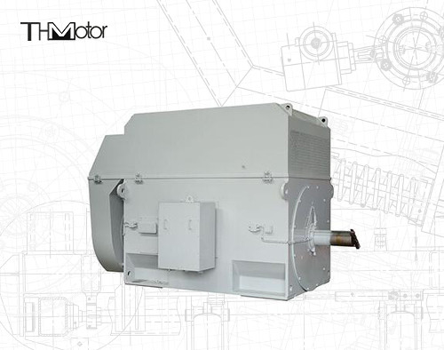 Moteur de cage d'écureuil de 50 Hz avec arbre de 100 mm pour un fonctionnement continu de 3000 tr/min