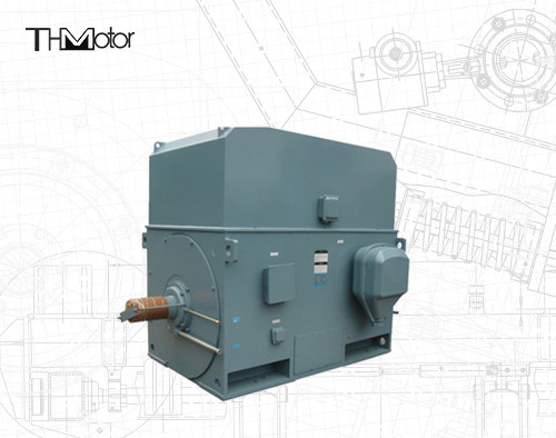 Moteur électrique de cage d'écureuil industriel 3000RPM 1250KW 142A IP55 Continu S1