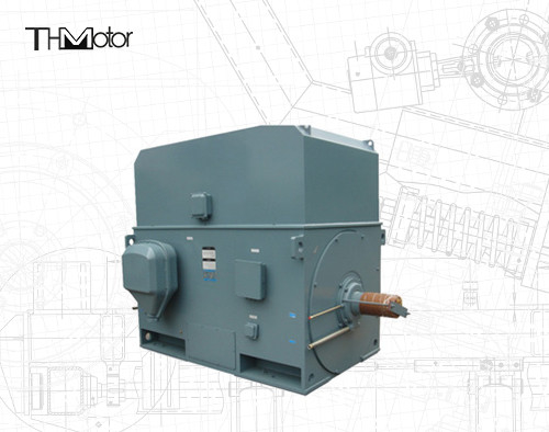 Moteur électrique de cage d'écureuil industriel 3000RPM 1250KW 142A IP55 Continu S1
