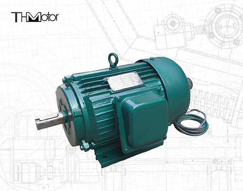 Moteur synchrone à un aimant permanent du CEI gigaoctet