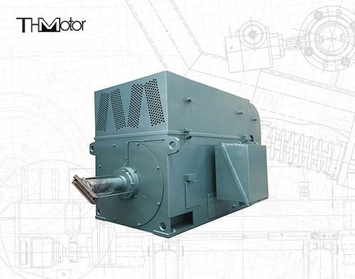 Moteurs électriques à haute tension à grande vitesse 6KV 10KV IP23 IP54 IP55 de moteurs électriques de cage d'écureuil
