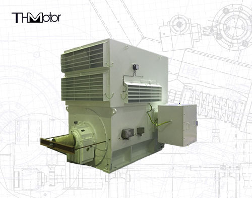 Moteurs à induction à trois phases de la série WPI WPII à usage industriel