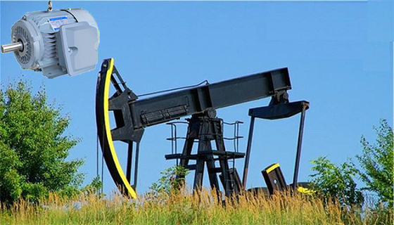 Moteur à induction de glissement de couple élevé de la meilleure qualité de NEMA haut IP55 pour la pompe de puits de pétrole