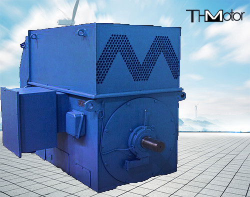L'écureuil de 6KV 10KV mettent en cage les moteurs électriques à grande vitesse IP23 IP54 IP55