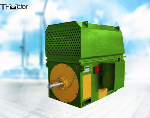 Grand CE de moteur de moulin de charbon du moteur synchrone 10KV de TDMK TM