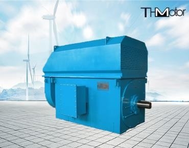 IP23 économie d'énergie 100rpm à faible bruit 3000rpm aux moteurs électriques à haute tension 50Hz 10KV