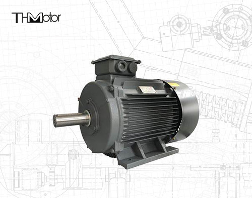 GB30254 Pompe à moteur électrique antidéflagrant haute tension IP65 165kW