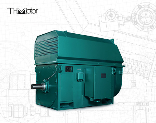 Moteur électrique à haute tension IP44 IP54 à C.A. du moteur électrique 600kw 700kw 800KW 10000V 2978rpm de YKK