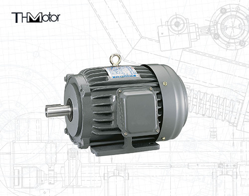 Moteur à haute tension IP55 de C.C de NEMA de NEP TEFC pour des convoyeurs de ventilateurs