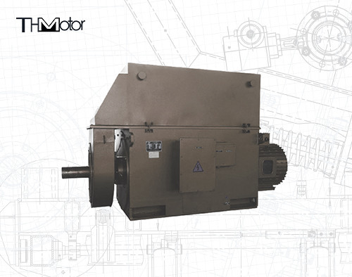 La cage d'écureuil triphasée à haute tension de moteur à courant alternatif d'induction de YKK circule en voiture 3KV 6KV 10KV