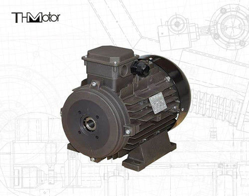 Moteur à courant continu à tension IP54/IP55 pour applications industrielles