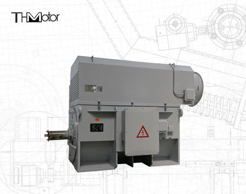 Opération industrielle continue S1 Moteur de cage d'écureuil IP55 0,89 Facteur de puissance 450Mm Hauteur de l'arbre