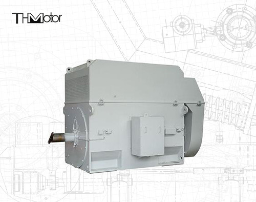 Moteur de cage d'écureuil de 50 Hz avec arbre de 100 mm pour un fonctionnement continu de 3000 tr/min